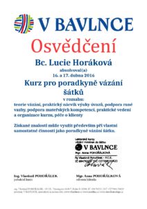 Osvedceni Horakova-page-001